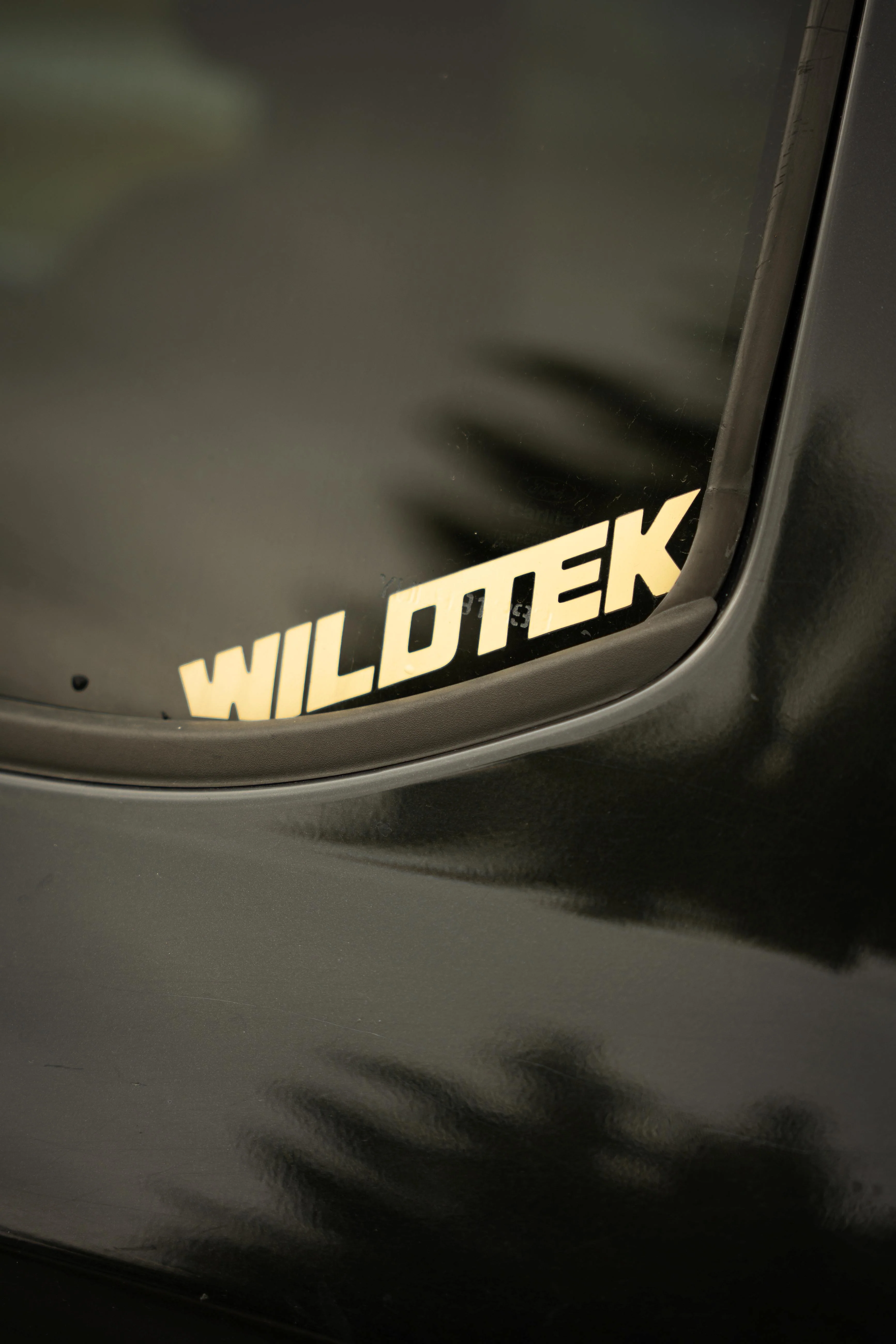 Collants WILDTEK - Image 3